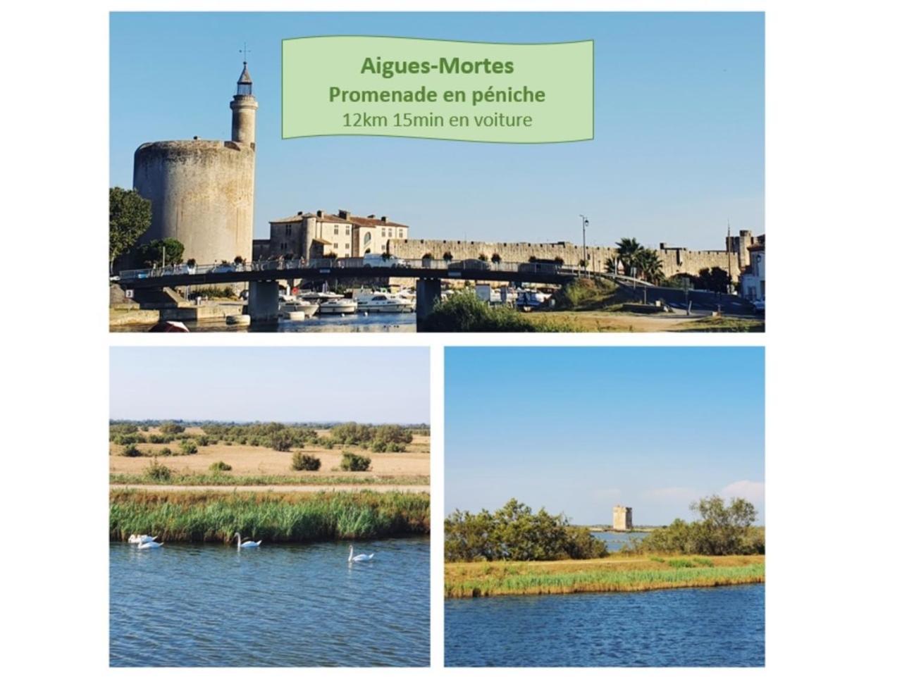 T2 West City Parking Clim Wifi 4Pers - Rossiconciergerie - Linge Inclus La Grande-Motte Buitenkant foto